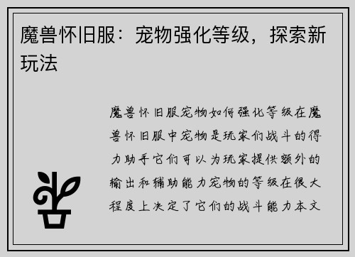 魔兽怀旧服：宠物强化等级，探索新玩法
